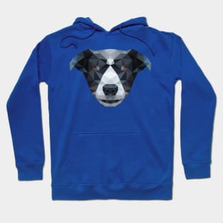 Border Collie Hoodie